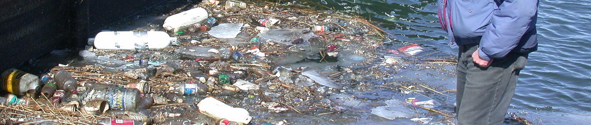 photo of polluted water