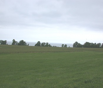 photo of a grassy area